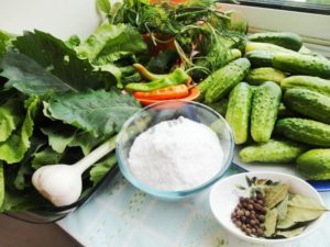 Огурцы душистые Огурцы душистые